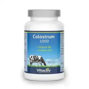 Colostrum vitactiv natural nutrition vitactiv 1000 mg kapseln