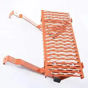 Dachtritte