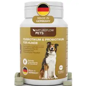 Darmsanierung hund natureflow probiotika darmsanierung