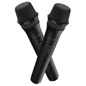 Dynamisches mikrofon lioncast wireless mikrofon 2er set