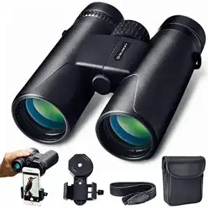 Fernglas 10x42 slokey discover the world 10x42 slokey fernglas