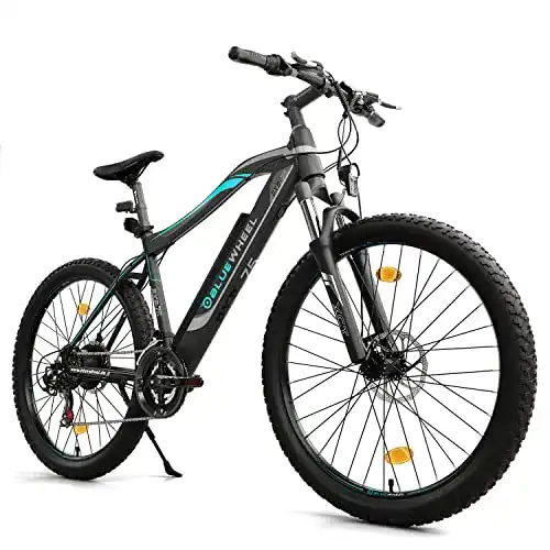 Herren E-Bike Bluewheel Electromobility BXB75 mit 250 W Motor