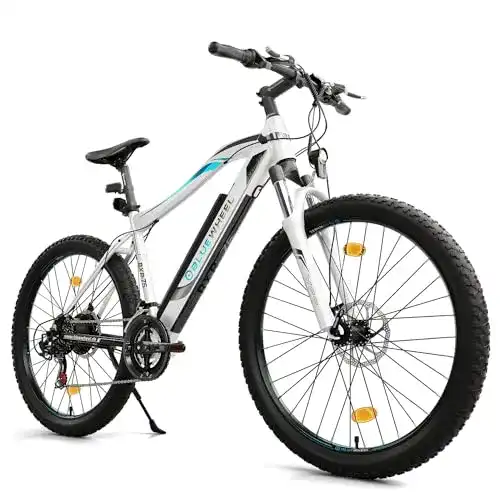 Herren E-Bike Bluewheel BXB75 Elektrofahrrad mit 250 W Motor