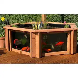 Hochteich clear view garden aquarium garten aquarium lily klar