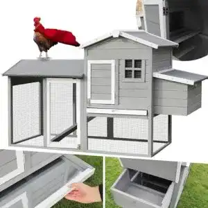 Huehnerstall my animal miweba myanimal mh 21 xxl