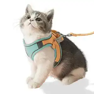 Katzengeschirr kitten fueegue katzengeschirr mit leine