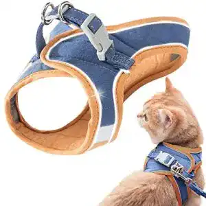 Katzengeschirr kitten geeric katzengeschirr katzengeschirr