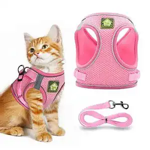 Katzengeschirr kitten oursunshine katzengeschirr leine set
