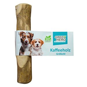 Kauholz Hund