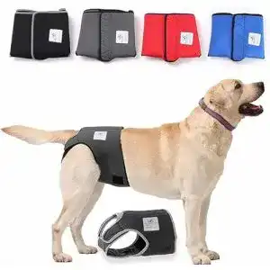 Laeufigkeitshose huendin nature pet hunde laeufigkeitshose