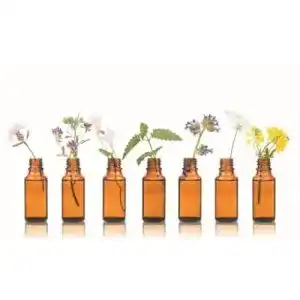 Manukaoel dragonspice naturwaren 30ml