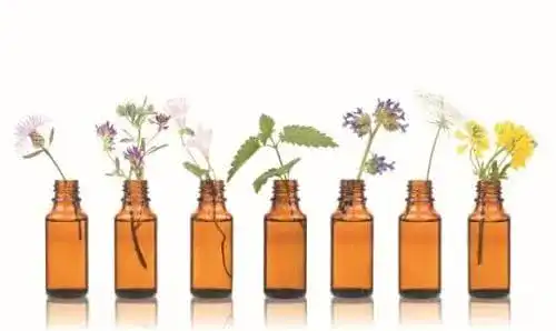 Manukaöl von Dragonspice Naturwaren, 30ml