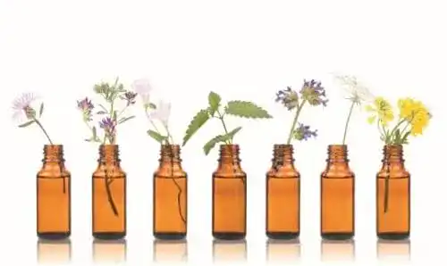 Manukaöl von Dragonspice Naturwaren, 30ml