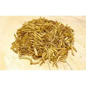 Mehlwuermer futterbauer 5 kg getrocknet vogelfutter fischfutter