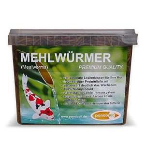 Mehlwürmer pondovit Premiumsnack für Kois, Leckerbissen, 2.4 l - mehlwuermer pondovit premiumsnack fuer kois leckerbissen 2 4 l