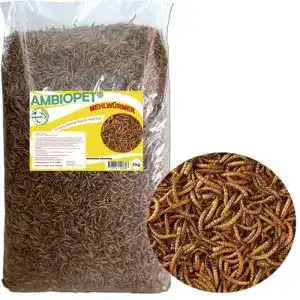 Mehlwuermer sourepose naturprodukt ambiopet 5 kg getrocknet