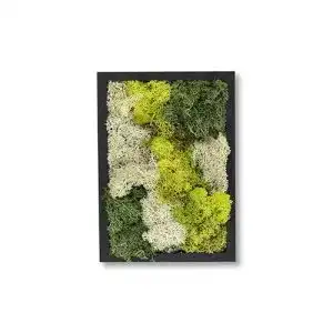 Moosbild comforder rechteckiges wandbild mit echtem moos