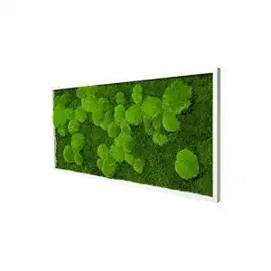 Moosbild moos design wandbild mit moos pflanzenbilder