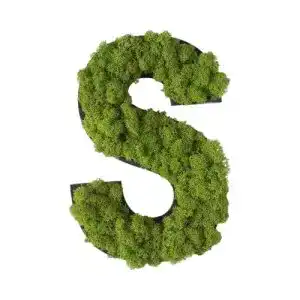 Moosbild stylegreen piktogramm buchstabe s islandmoos