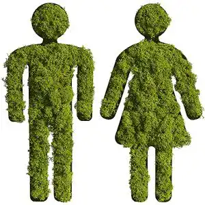 Moosbild stylegreen piktogramm moospaerchen 25 cm