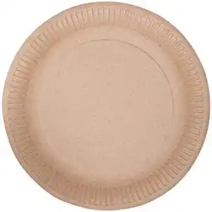 Pappteller ecocleo eco einweg rund 23 cm teller aus karton