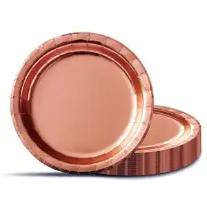 Pappteller izoel 60 stk 9 partyteller rosegold stabile