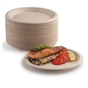 Pappteller yien 50 x 100 biologisch abbaubar kompostierbar