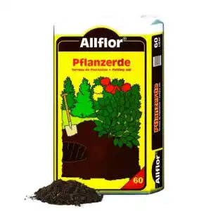 Pflanzerde allflor 1 x 60 liter beutel erde gebrauchsfertig