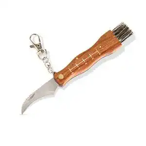 Pilzmesser flanacom mit buerste pinsel und lineal zum aufklappen