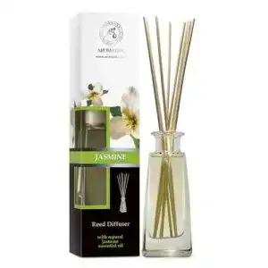 Raumduft aromatika trust the power of nature diffuser 1