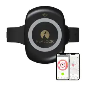 Smartes fahrradschloss pealock smartes elektronisches