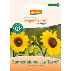 Sonnenblumen samen bingenheimer saatgut la torre