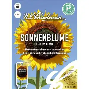 Sonnenblumen samen n l chrestensen sonnenblume yellow giant