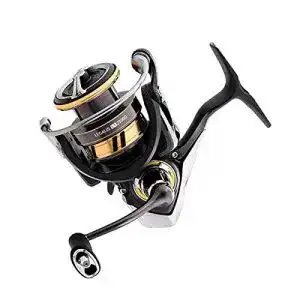 Spinnrolle daiwa legalis lt lglt1000d angelrolle