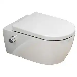 Spülrandloses WC