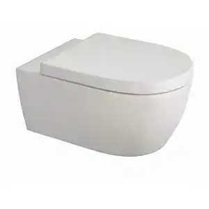 Spuelrandloses wc ssww toilette fuer gaeste wc mit softclose