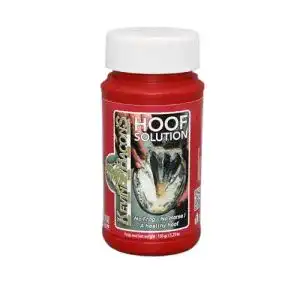 Strahlfaeule mittel kevin bacons kevin bacons hoof solution