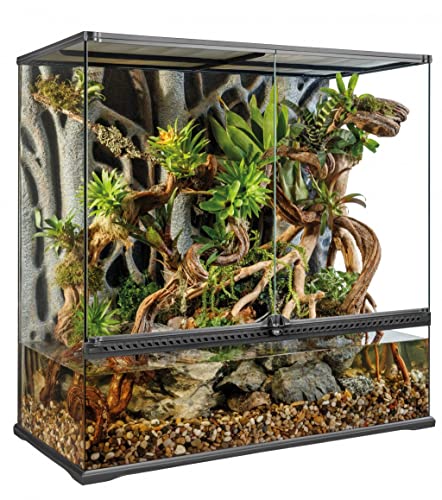 Terrarium Exo Terra aus Glas, mit einzigartiger Front Belüftung - terrarium exo terra aus glas mit einzigartiger front belueftung