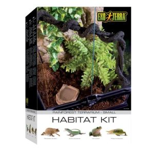 Terrarium Exo Terra Rainforest Habitat Kit, Terrarien Starter Set - terrarium exo terra rainforest habitat kit terrarien starter set