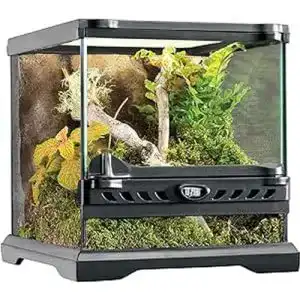 Terrarium