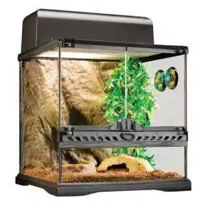 Terrarium hagen exo terra terraristik starter set wirbellose klein