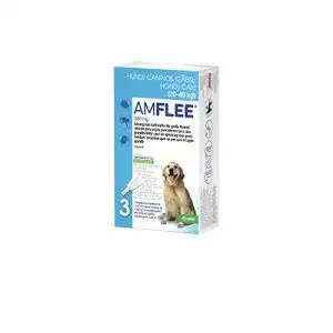 Zeckenschutz hund amflee spot on floh und zeckenmittel