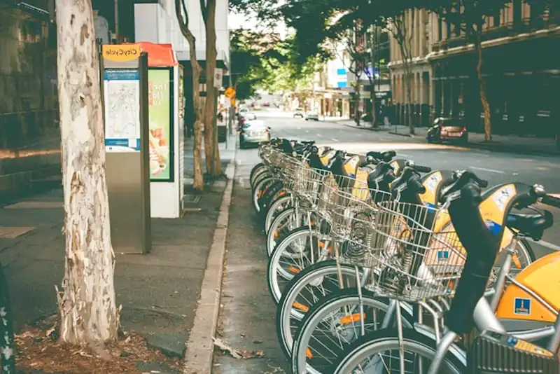 Fahrradträger Innenraum 2