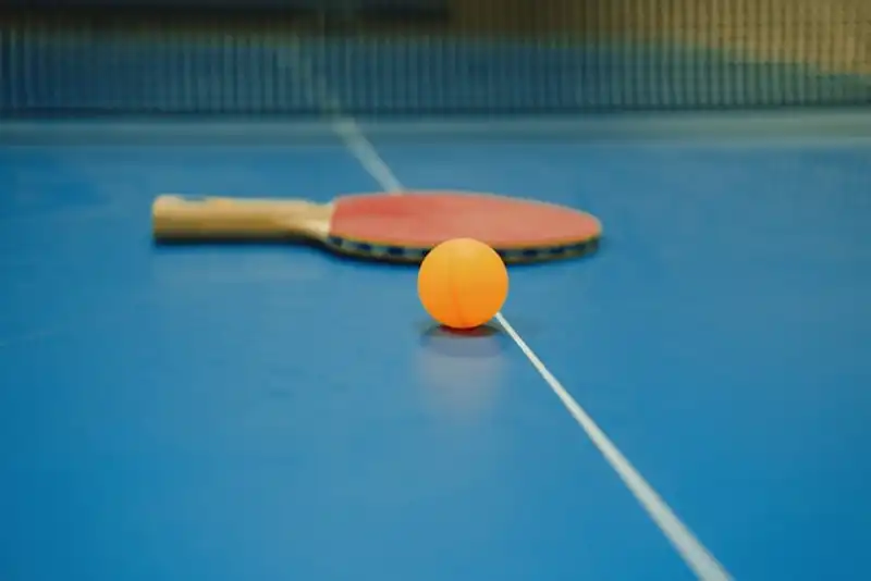 Tischtennisnetz 2