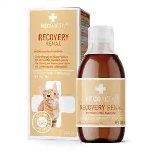 Diaetfutter katze recoactiv recovery renal fuer katzen 1 x 280ml