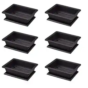 Sukkulenten schale molyorch 6 stueck bonsai trainingstoepfe