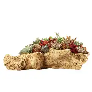 Sukkulenten schale yanmilia treibholz pflanzer skulptur harz