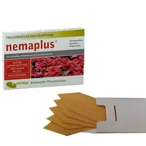 Nematoden nemaplus sf zur bekaempfung von trauermuecken 1