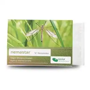 Nematoden nemastar sc zur bekaempfung von maulwurfsgrillen