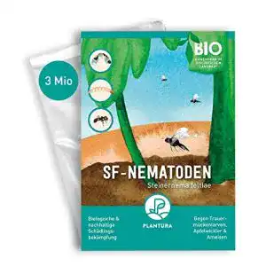 Nematoden plantura sf gegen trauermuecken fuer 3 mc2b2